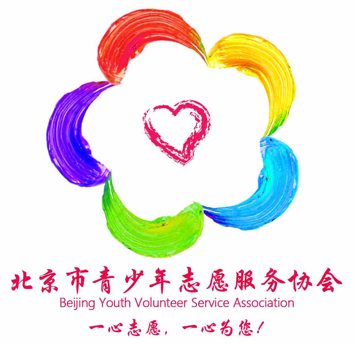 阳光派志愿者服务队成立