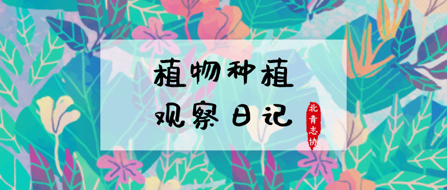 ���ʵ����ļح�����������Ρ�ֲ����ֲ�۲��ռ� ��һ��