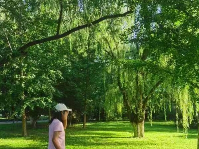 С������������Ÿ塰�����ػ����ݡ���ɭ־Ը� 2024.8.28