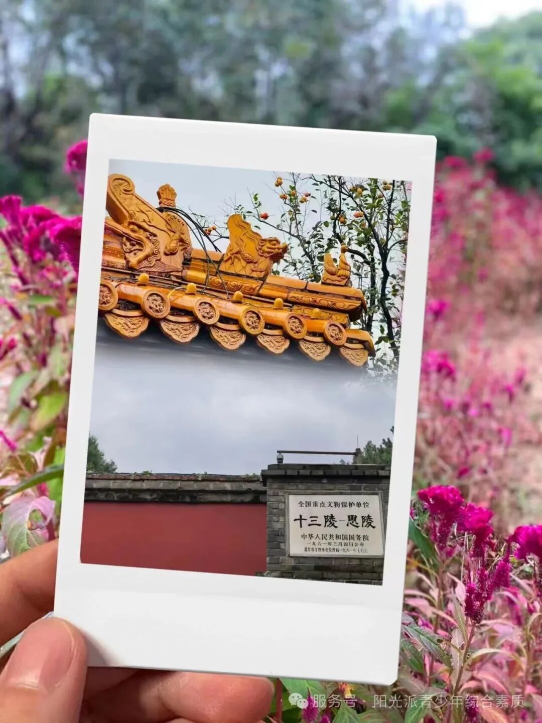 ���˼�꣬����������ʱ�⣡�������붫��־Ը�ӵ��ı�֮Լ